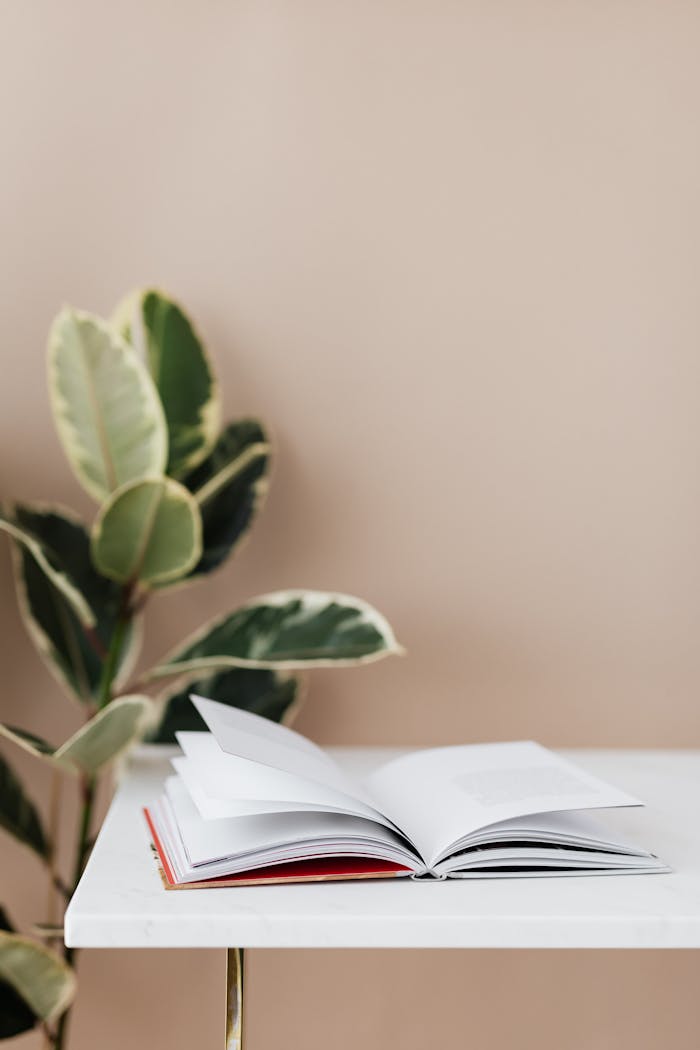 Über uns A minimalist scene with an open book on a table next to a ficus plant in natural daylight.