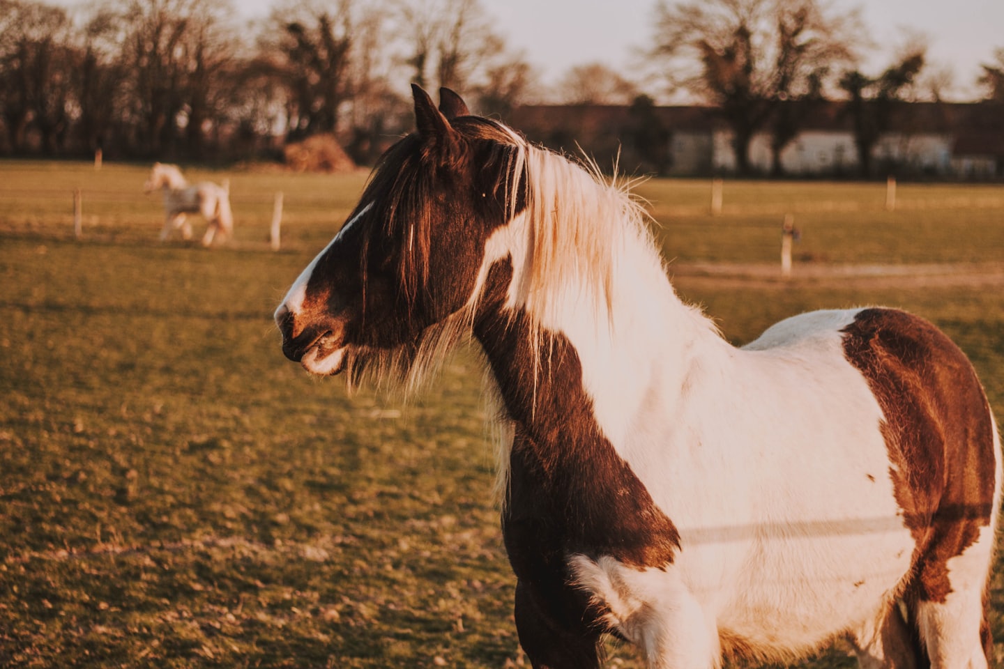 14ab63a4ff7d56b9d055d3ee24ff58a3db412c42